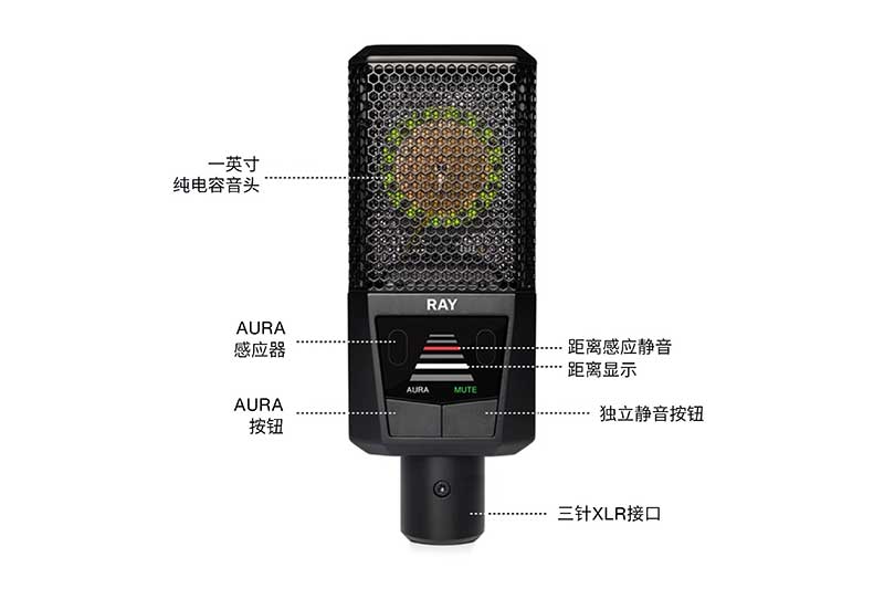 LEWITT RAY 麥克風(fēng)